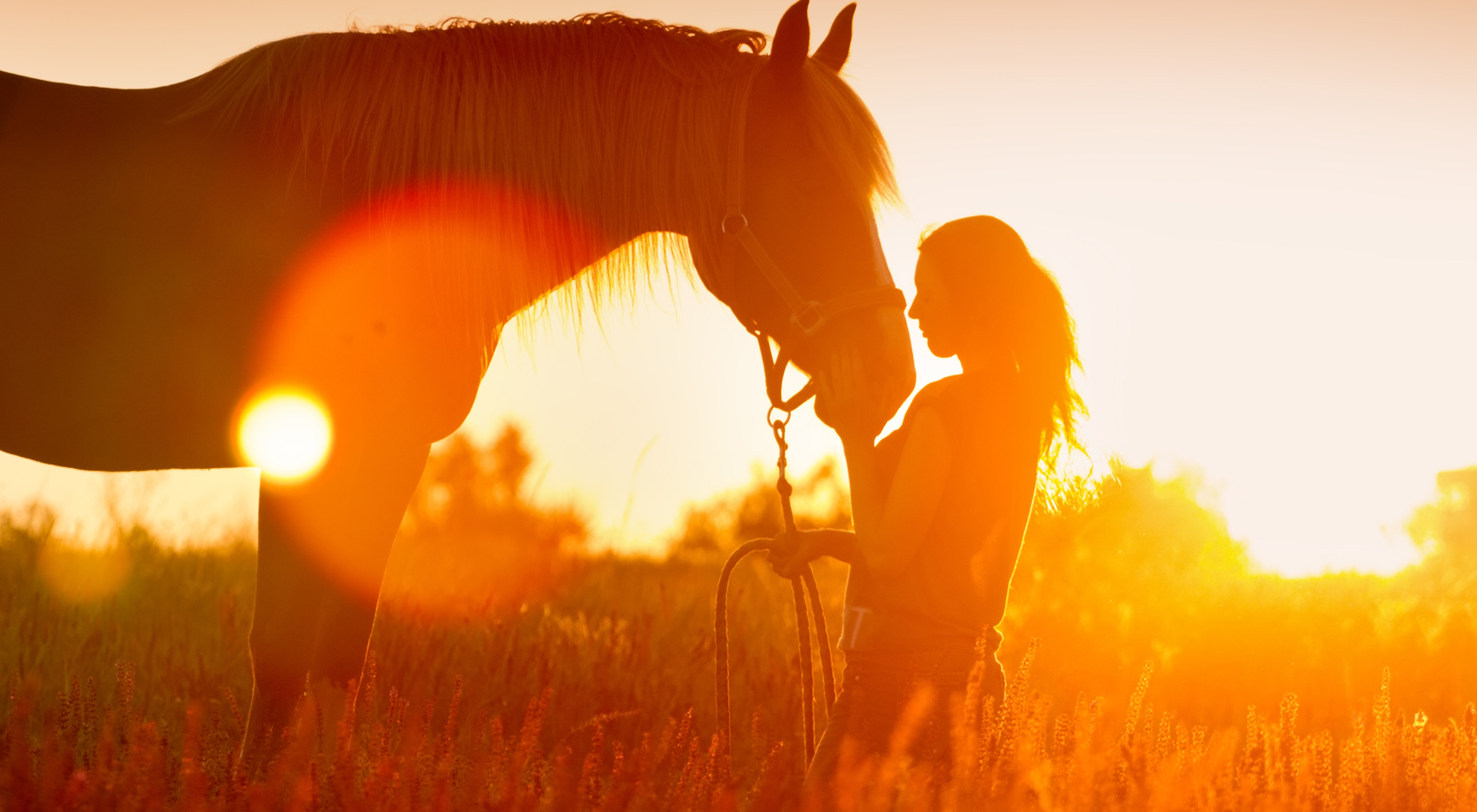Woman with horse at sunset