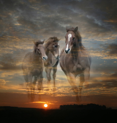Horses superimposed on evening clouds and sunset.